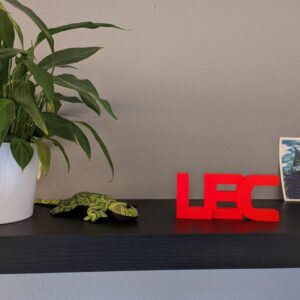 Charles LEClerc - Formula 1 - LEC Text Sign - Ferrari - Decorative, great gift for avid F1 and Charles Leclerc fans from the Race Car Wall Art store collection.